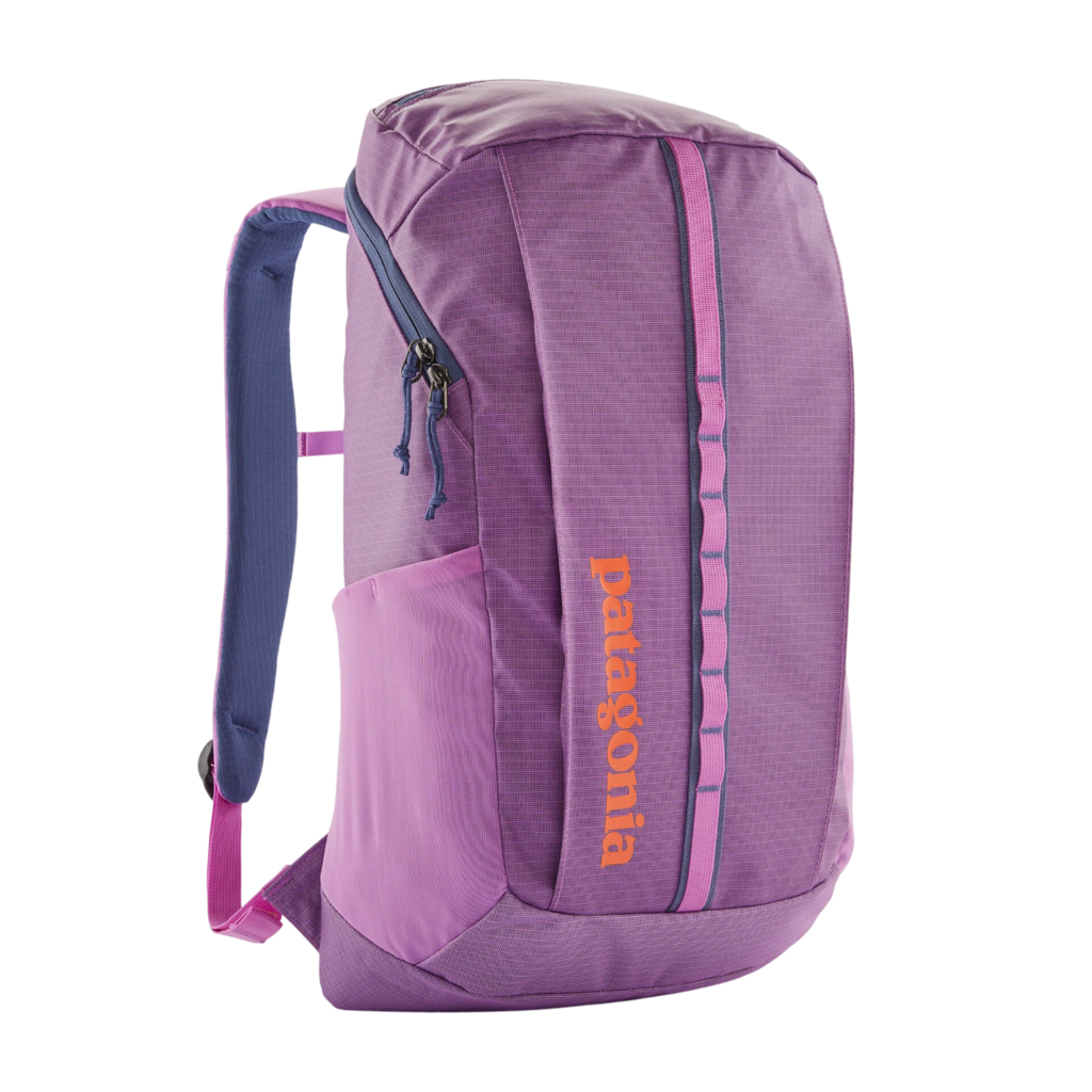 Patagonia Black Hole Pack 25L – Lone Pine Gear Exchange Patagonia Black Hole Pack 25L – Lone Pine Gear Exchange
