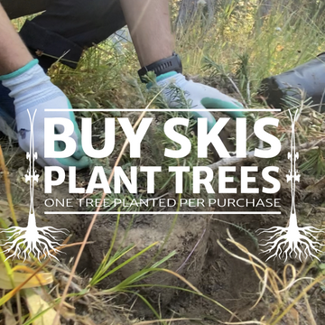 Earth Day Tree Donation - 25 Trees